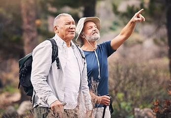 Image showing Hiking, looking and mature men in nature for travel, walking and on a backpack adventure in Norway. Search, view and elderly friends doing bird watching and pointing at environment in the mountains