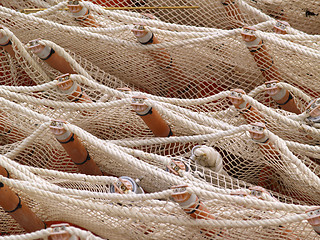 Image showing Net and buoys