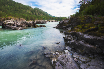 Image showing Nature baths on the Katun river