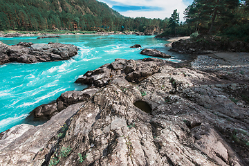 Image showing Nature baths on the Katun river