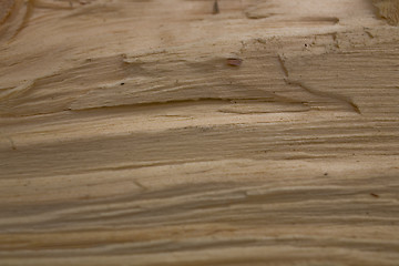 Image showing Tree trunk after being cut, background