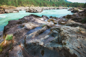 Image showing Nature baths on the Katun river