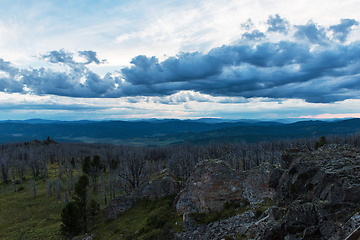 Image showing Landscape with dead forest