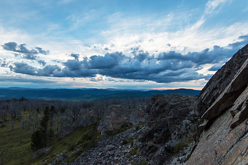 Image showing Landscape with dead forest