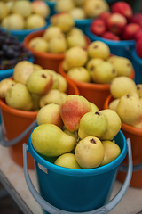 Image showing Bucket with pears