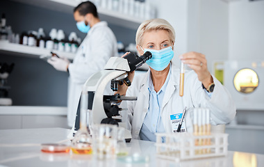 Image showing Microscope, face mask and scientist woman analysis of bacteria, virus or covid liquid solution in laboratory. Biotechnology, vaccine research or medicine study of science person, expert and test tube