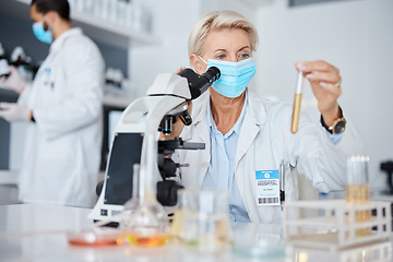 Image showing Science, microscope and woman face mask, test tube analysis of bacteria, virus or liquid solution in laboratory. Health research, medical vaccine or medicine scientist, expert of pharmaceutical data