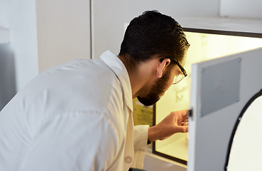 Image showing Scientist, man with incubator and medical research with science experiment, biotechnology or ivf with innovation. Scientific study in laboratory, analysis of test sample and doctor with researcher