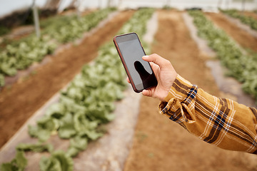 Image showing Hands, phone and farmer at farm typing, texting or web scrolling on sustainable technology. Mobile screen, agriculture and female with smartphone for social media or app to check growth of plants.