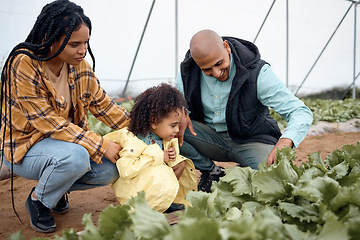 Image showing Black family, agriculture farm and greenhouse garden to check growth of plants. Love, agro learning and care of father, mother and child, girl or kid on field for harvest, farming and sustainability.