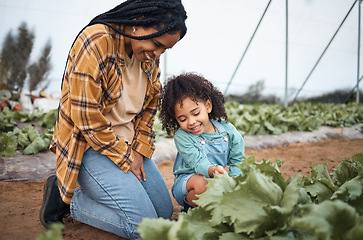 Image showing Agriculture, farm and mother with girl in greenhouse garden to check growth of plants. Black family, agro learning and care of mom laughing with kid on field for harvest, farming or sustainability