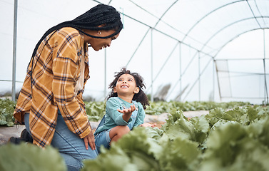 Image showing Agriculture, farm and mother with girl in greenhouse garden to check growth of plants. Black family, agro question and care of mom laughing with kid on field for farming, learning or sustainability.