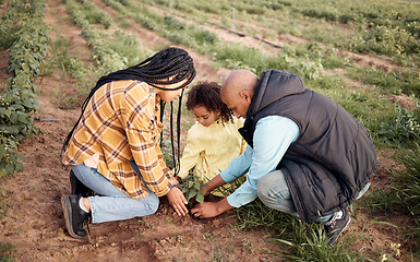 Image showing Farming family, kid or planting in soil agriculture, sustainability learning or future growth planning of earth food. Man, woman or farmer child and green leaf plant in nature countryside environment