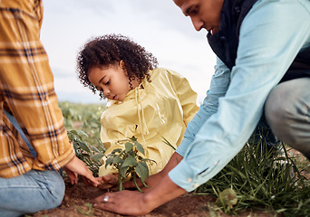 Image showing Farming family, parents or child planting in soil agriculture, sustainability learning or future growth planning for food. Man, woman or farmer kid with ground leaf in nature countryside environment