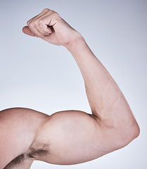 Image showing Arm muscle, man and fist with body, health and fitness with strong person isolated on studio background. Skin, bodybuilder and flex biceps, wellness and weightlifting, exercise growth and muscular