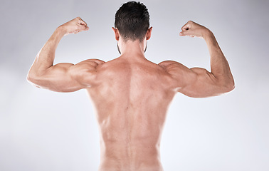 Image showing Fitness, back or man flexing muscle after exercise, training or gym workout for body goals target. Sports motivation, progress or healthy bodybuilder athlete with biceps muscles isolated in studio