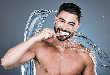 Image showing Water splash, brushing teeth and portrait of happy man with toothbrush, dental wellness and healthy mouth care. Wet male model, oral cleaning and fresh breath for smile, happiness or shower cosmetics