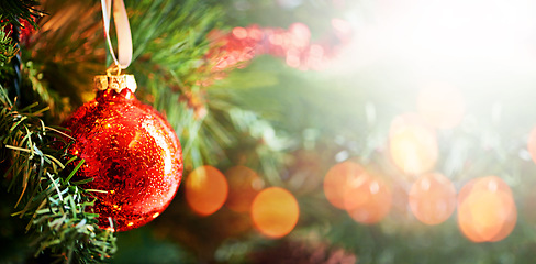 Image showing Christmas, tree and decoration in the festive season for joy, celebration or december holiday in winter.