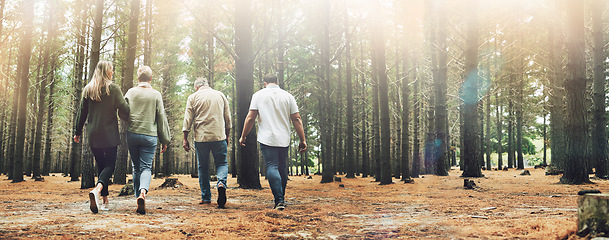 Image showing Hiking, group of people and forest trees for nature walk, journey and adventure in lens flare. Trekking family, friends or community with fitness and natural environment for wellness in Alaska woods