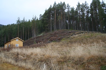 Image showing rural landscape