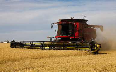 Image showing Autumn Harvest