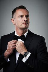 Image showing Success, mature man in tuxedo with bow tie, handsome online dating profile picture isolated on grey background in studio. Luxury, rich elegant celebrity actor fashion and sexy date for valentines day