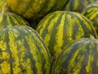 Image showing watermelons