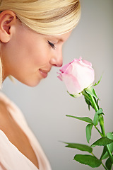 Image showing Flower, studio and woman smelling a rose for a sweet blossom fragrance, scent or aroma. Bloom, cosmetic and female model from Australia with a floral for valentines day by a gray background.