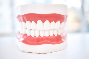 Image showing Dental, teeth model and orthodontics with healthcare and closeup, oral hygienist and health insurance. Veneers, dentistry equipment and healthy gums with fresh breath, medical and tooth care