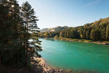 Image showing Katun river, in the autumn Altai mountains