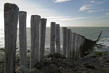 Image showing North Sea beach with breakwater,Netherlands