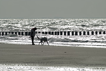 Image showing Woman and dog walking on the beach