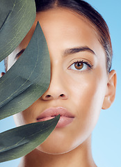 Image showing Leaf, skincare and portrait of a woman in a studio with a beauty, natural and facial treatment. Health, wellness and female model from Brazil with a plant for organic face routine by blue background.