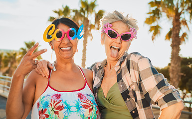 Image showing Vacation, funky sunglasses and senior women in retirement on a summer weekend trip together. Happy, freedom and elderly female friends with stylish spectacles having fun while on a holiday adventure.