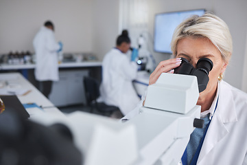 Image showing Science, senior woman with microscope and data analysis in laboratory, research and breakthrough. Old female scientist, researcher and employee with lab equipment, healthcare or development with test