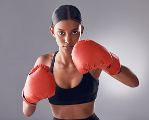 Image showing Boxer, fight and portrait of woman in studio for sports exercise, strong muscle or mma training. Indian female, boxing workout and fist gloves for impact, energy and warrior power in battle challenge