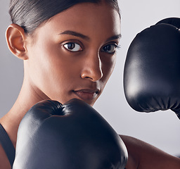 Image showing Boxing, gloves and portrait face of woman in studio for exercise, strong focus or mma training. Female boxer, workout and fist fight for impact, energy and warrior power in battle, fitness and action