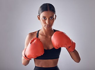 Image showing Boxing, fitness and portrait of woman in studio for sports exercise, strong muscle or mma training. Indian female, boxer champion and gloves for impact, energy and warrior power in battle challenge