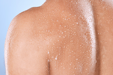 Image showing Water drop, skincare and back of man in studio for cleaning, body care or cosmetic on blue background. Shower, skin and guy wellness model relax in luxury, moisture and gentle, cleansing or treatment