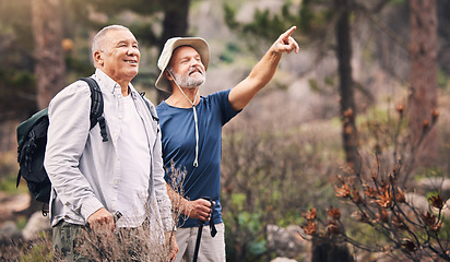 Image showing Bird watching, looking and mature men in nature for travel, walking and on a backpack adventure in Norway. Search, view and elderly friends hiking and pointing at environment in the mountains