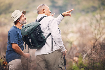 Image showing Hiking, pointing and senior men in nature for travel, walking and on a backpack adventure in Spain. Search, view and elderly friends doing bird watching and looking at environment in the mountains