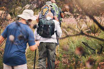 Image showing Hiking, fitness and old men walking on mountain trail for nature, trekking and backpacking adventure. Explorer, discovery and expedition with friends mountaineering for health, retirement and journey