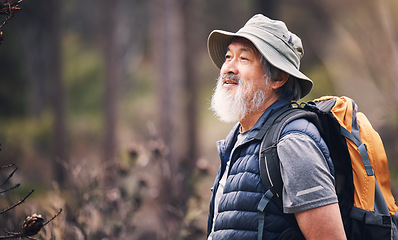 Image showing Senior man, hiking and forest with backpack for travel, adventure or camping journey in nature. Elderly male hiker with smile for natural environment, traveling or backpacking and trekking outdoors