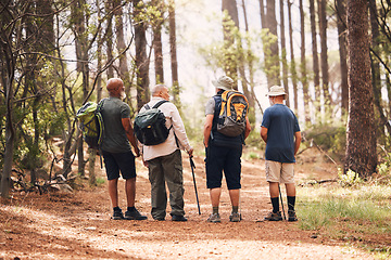 Image showing Hiking, fitness and group of friends in forest for adventure, freedom and sports on mountain trail. Travel, retirement and back of senior hikers for exercise wellness, trekking and cardio workout