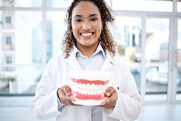 Image showing Teeth model, healthcare and portrait of dentist for dental wellness, tooth whitening and oral care. Dentistry, medical clinic and orthodontist smile with mold for mouth hygiene, surgery and braces