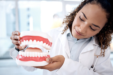 Image showing Teeth model, healthcare and dentist in clinic for dental wellness, tooth whitening and oral care. Dentistry, medical consultation and orthodontist with mold for mouth hygiene, dentures and braces