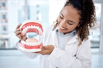 Image showing Dentist, oral and dental hygiene professional artificial mouth or model in her office for a demonstration of whitening. Dentures, jaw and healthcare worker or expert holding teeth smile and happy