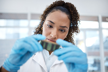 Image showing Microchip, research and scientist looking at dna, digital analysis and investigation in a lab. Analytics, science and woman holding an engineering circuit for scientific experiment on electronics