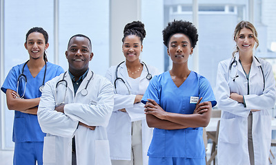 Image showing Proud, diversity and doctors portrait in healthcare mission, hospital values and teamwork or leadership. Group of medical staff, nurses or professional employees face of USA clinic in workforce goals