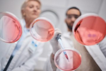 Image showing Research, laboratory and science by technician team in analytics with a sample in lab with petri dish. Professional, below and medical scientists as teamwork, DNA and collaboration in chemistry